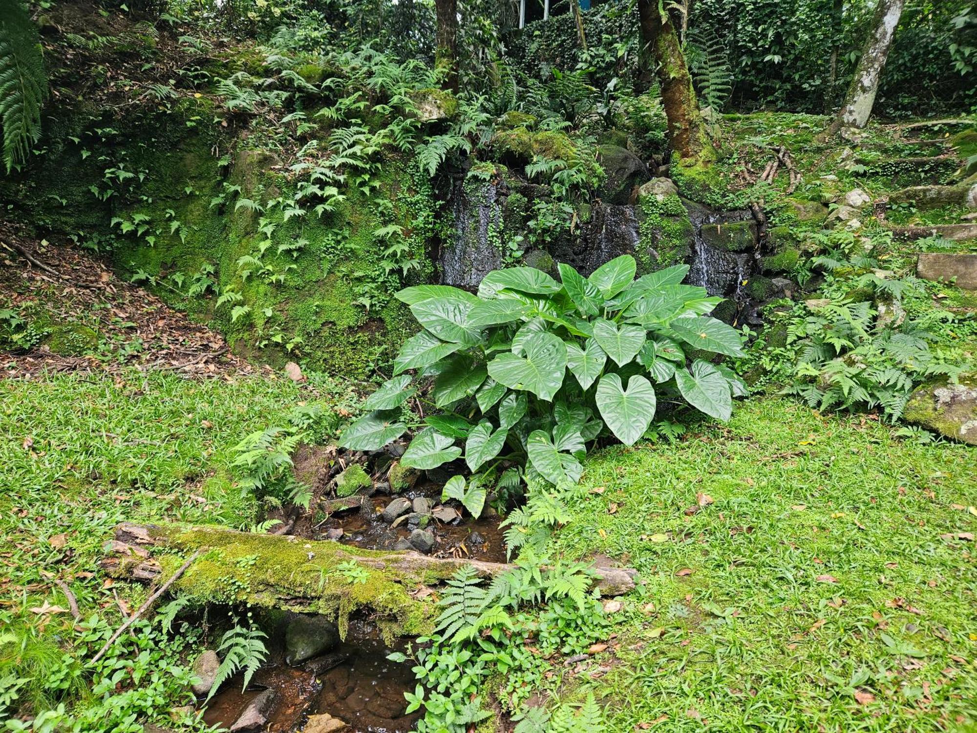 Cantinho Das Oliveiras. Gramado Exterior photo
